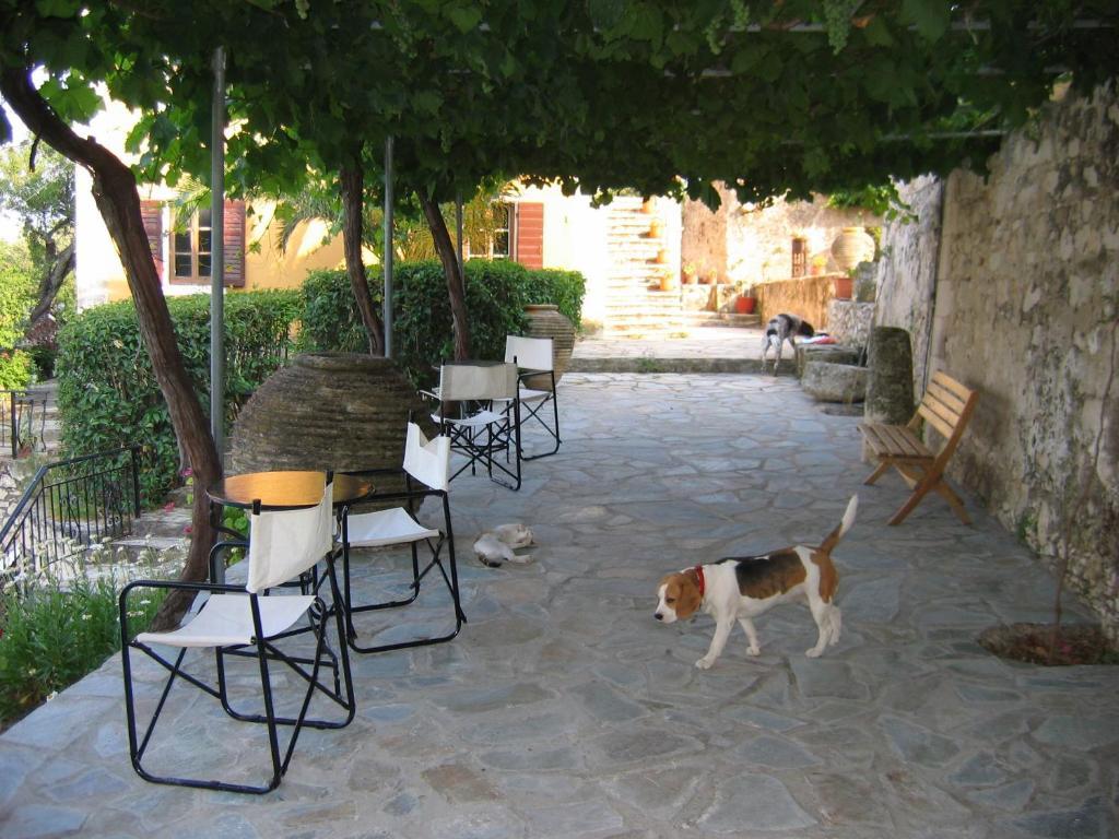 Archontiko Maisonettes Αλυκών Εξωτερικό φωτογραφία